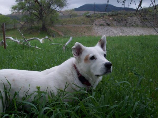 /Images/uploads/Humane Society of Utah/HSUCalendar/entries/681thumb.jpg